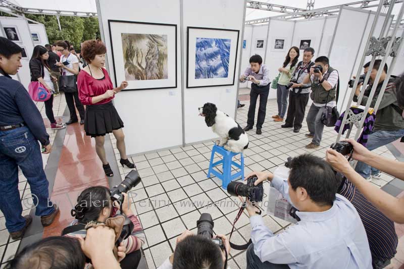 Lishui (China) - 14th International Photographic Art Exhibition